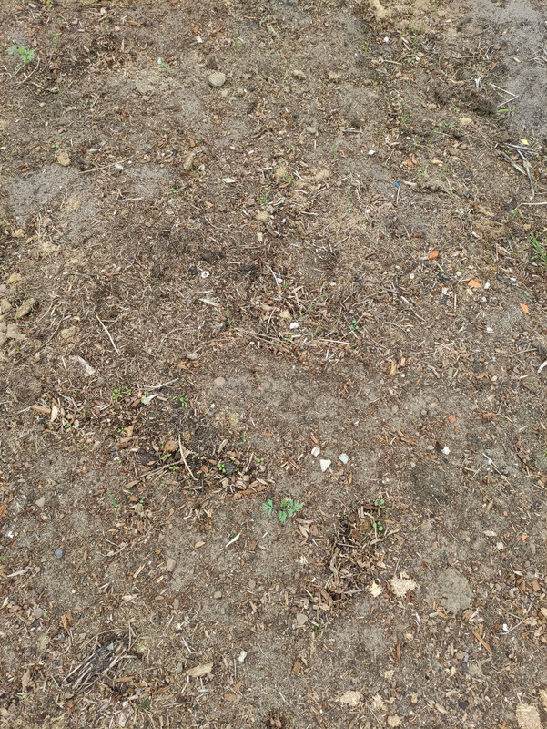 IMG-20220925-140843-1.jpg