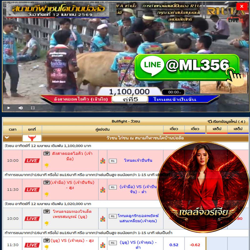 เว็บแทงวัวชน