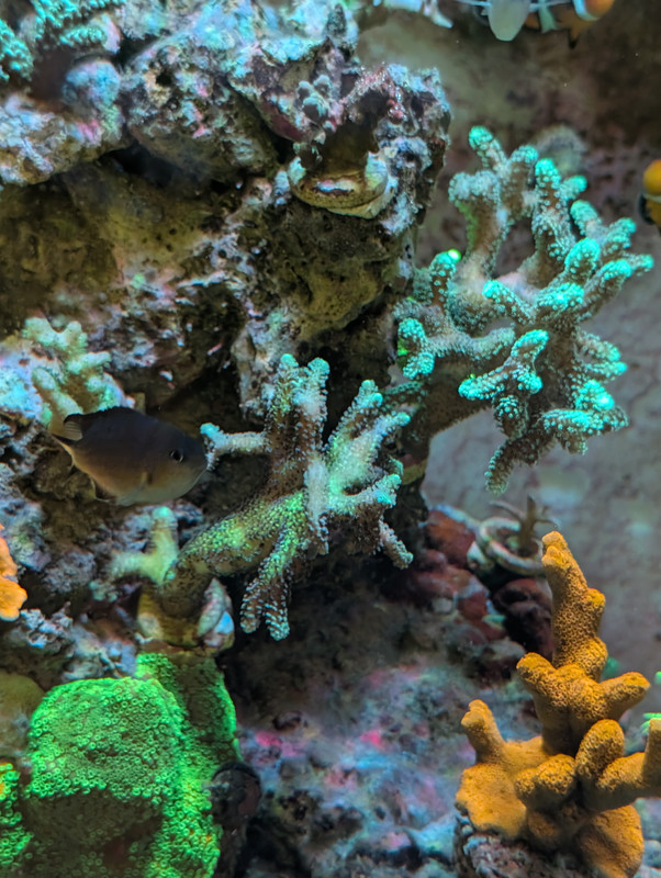 PXL 20260226 201539625 MP