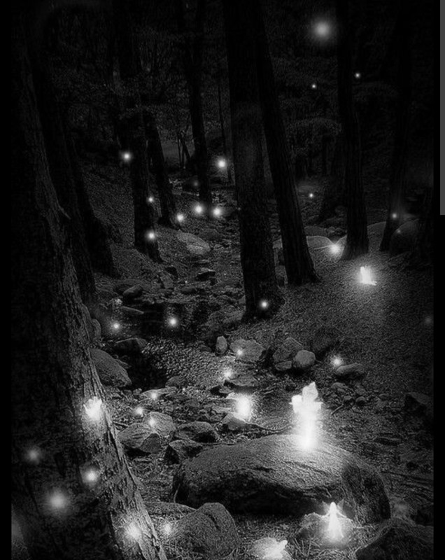 Screenshot_20221129-194842_Chrome