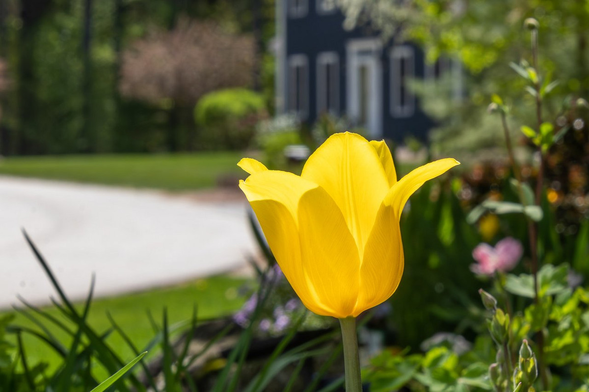 вот и весна