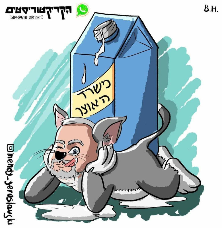 -חלב-לחתולים