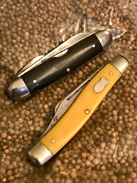 A2ADE2E7-CA9D-4FF1-8567-069DF2C816C9.jpg