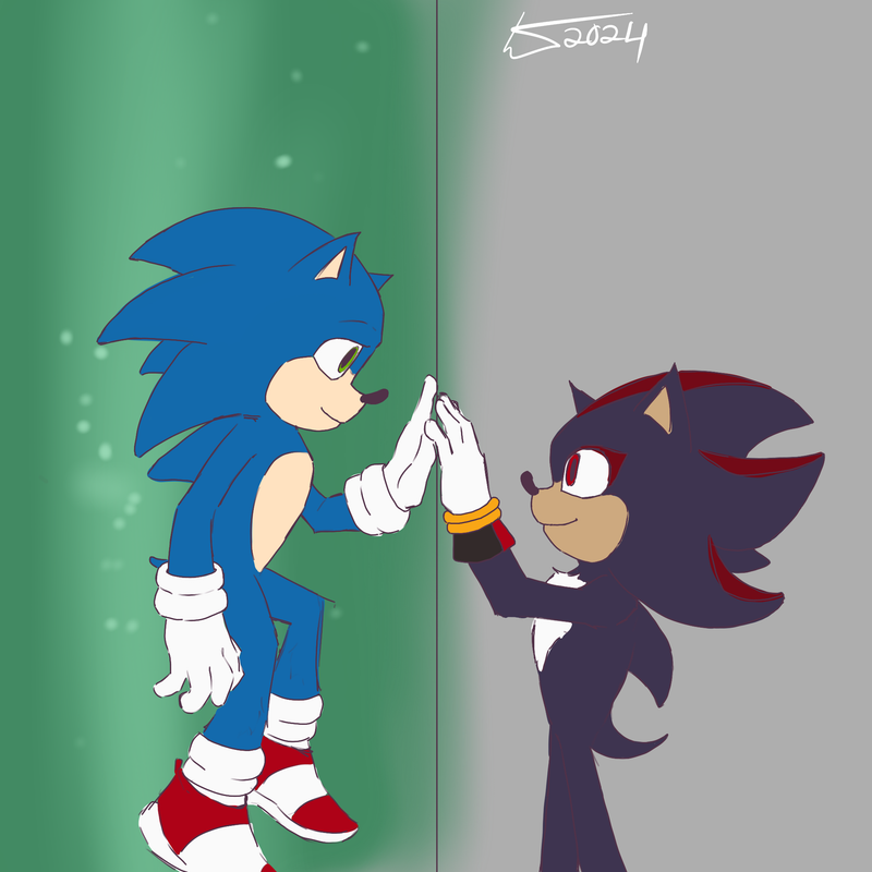 Sonic and Shadow
