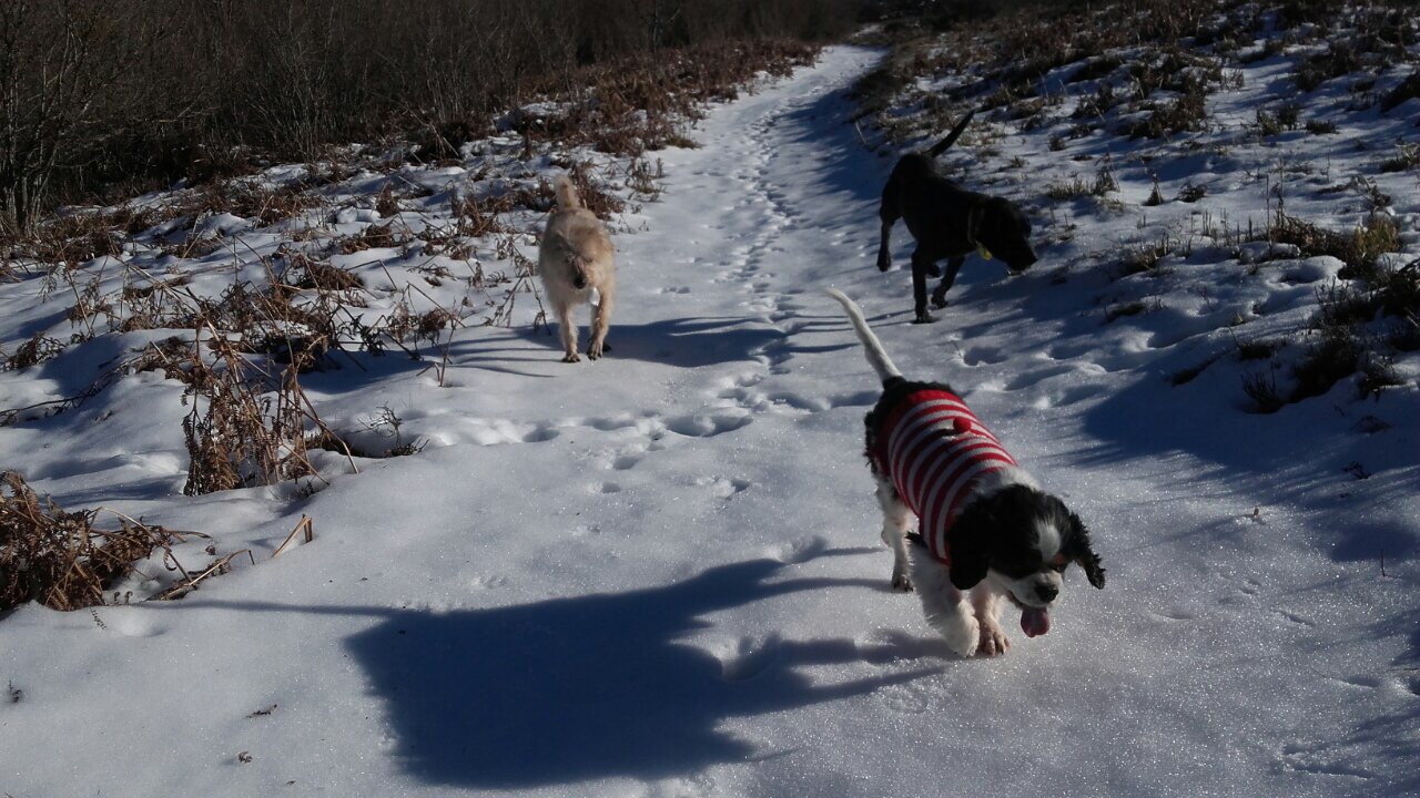 EC18201B-884E-41DA-BF90-562F9B8AED96