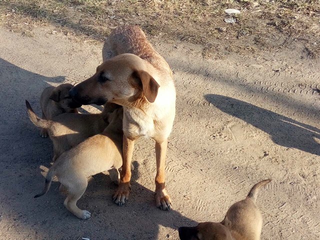 72AD8A29-5333-4099-8DCD-B753480DBAB5