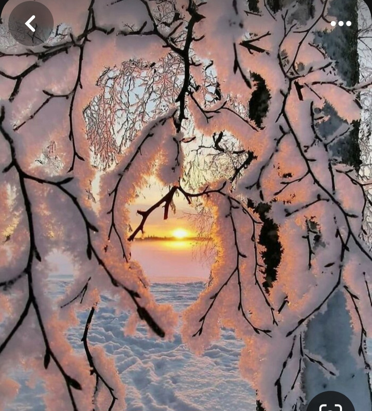 Screenshot_20231222_132630_Pinterest