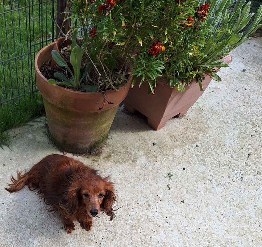 [Image: 20240418-121009.jpg]