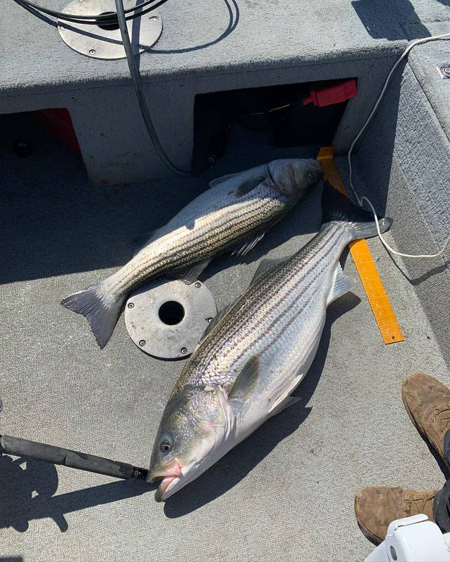 E5C7D721-95C9-4295-B63C-DE507AA24AE0