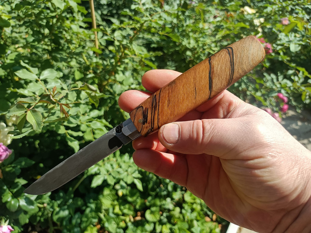 457327839_3594150047501359_7984054721049806597_n