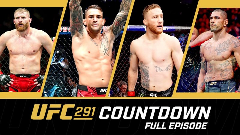 Обратно броене до UFC 291