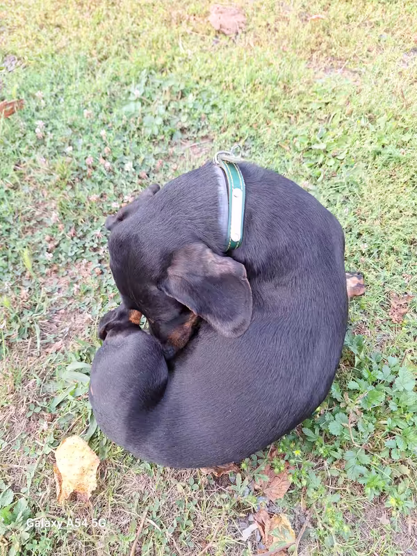 [Image: 20240823-190722.avif]