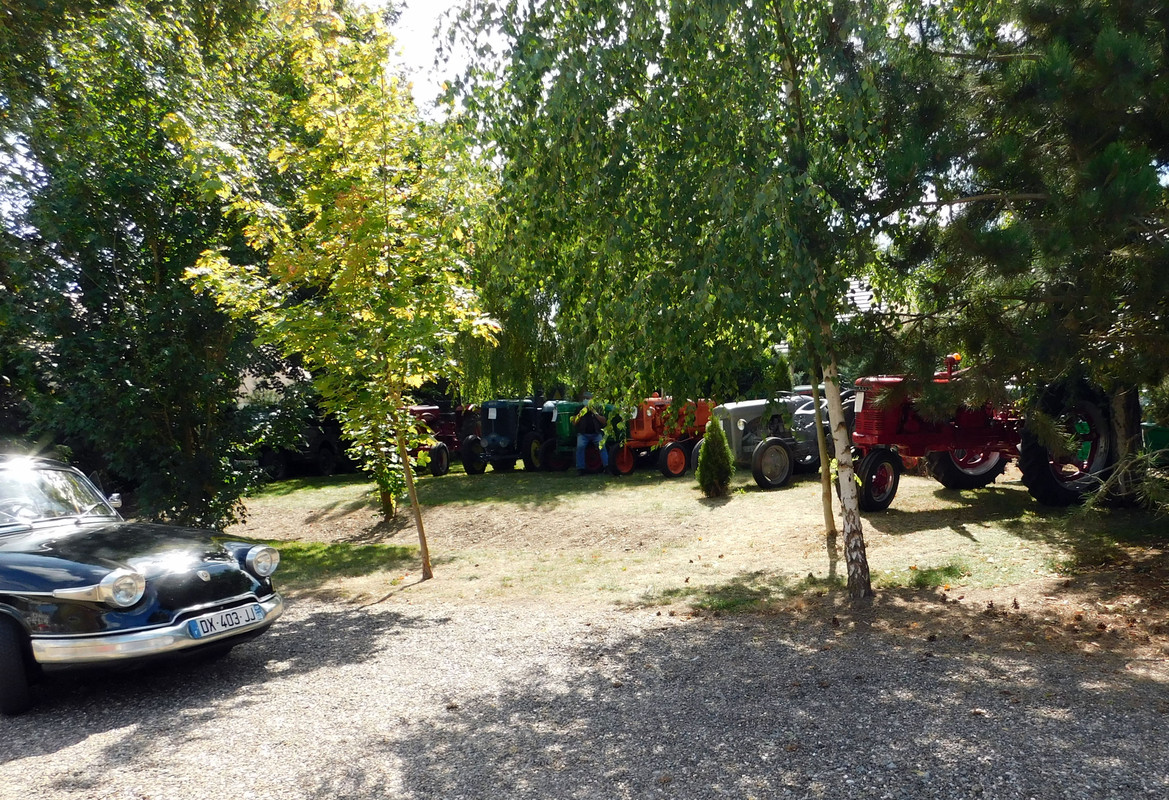 DSCN1050
