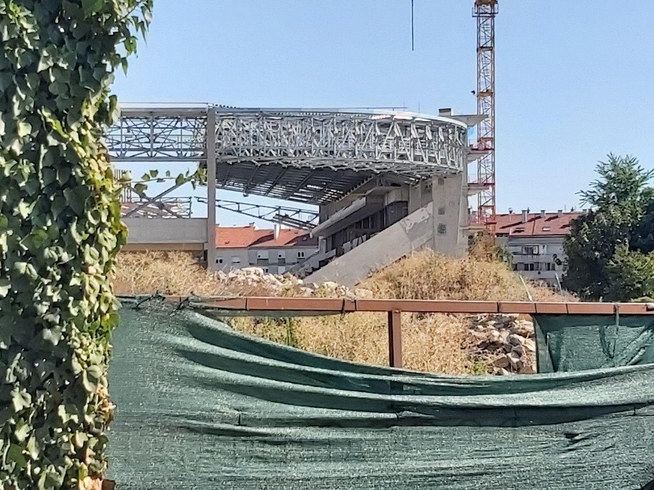 adzijina-20260810-15.jpg
