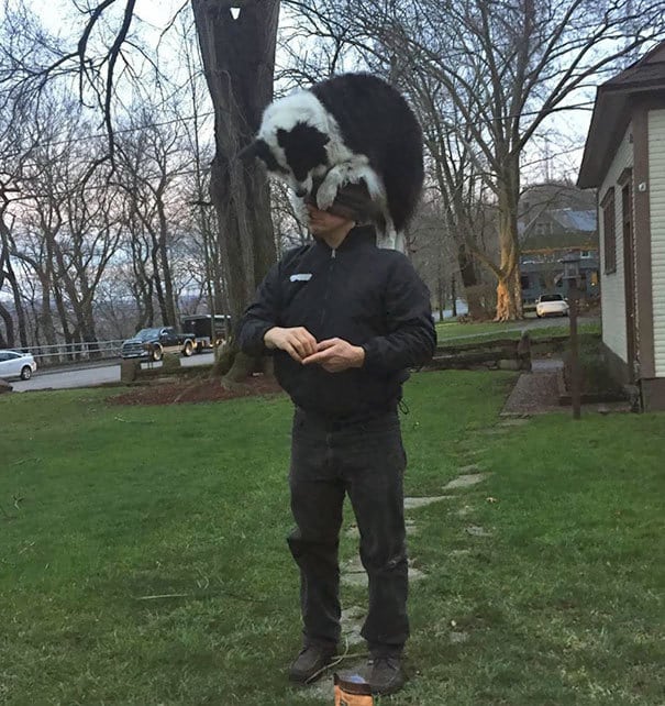 20 странных соседей, с которыми не приходится скучать