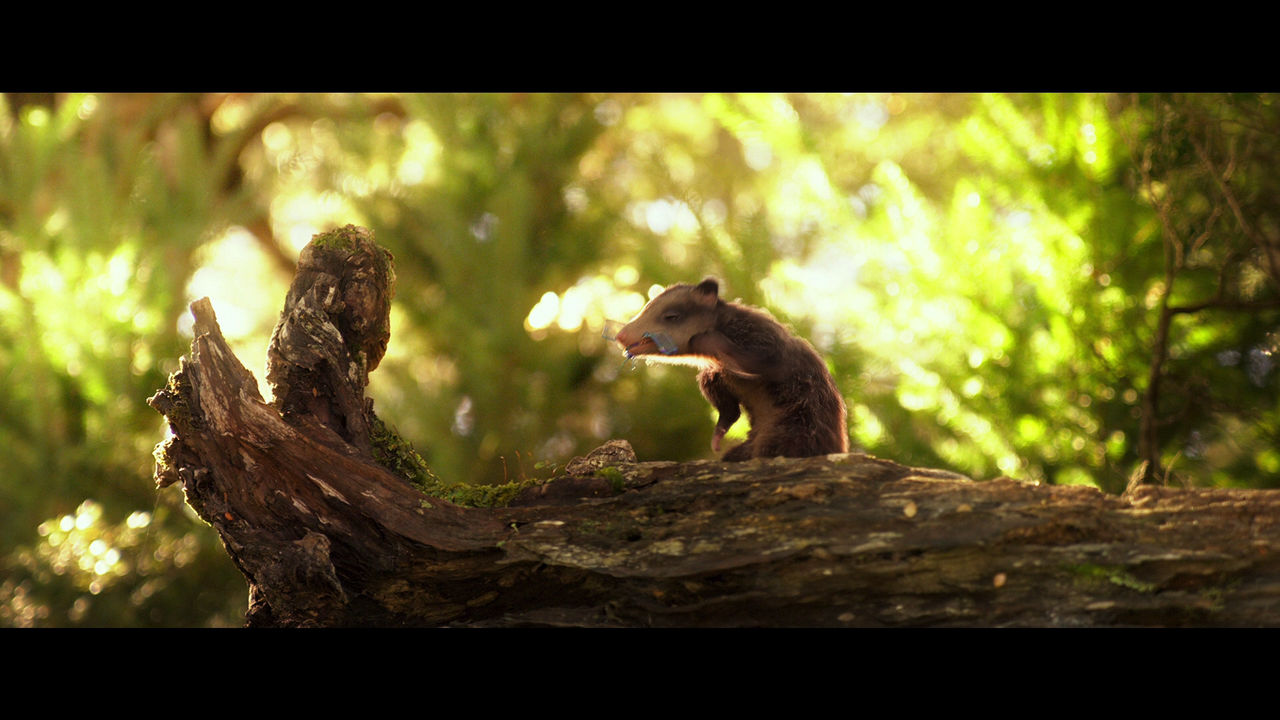 vlcsnap-2023-12-23-21h54m02s124