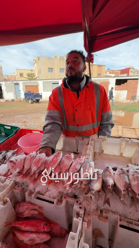 التقطيع .00_05_25_23.Still017