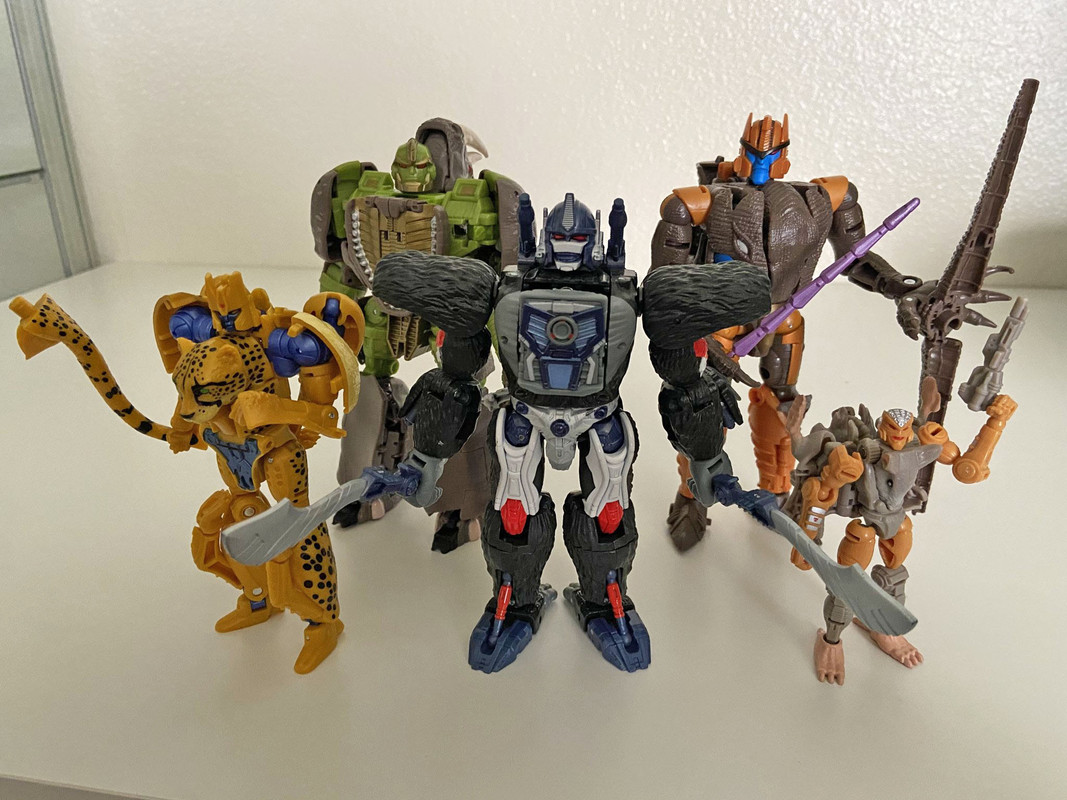 Kingdom-Rhinox-In-Hand-Images-16