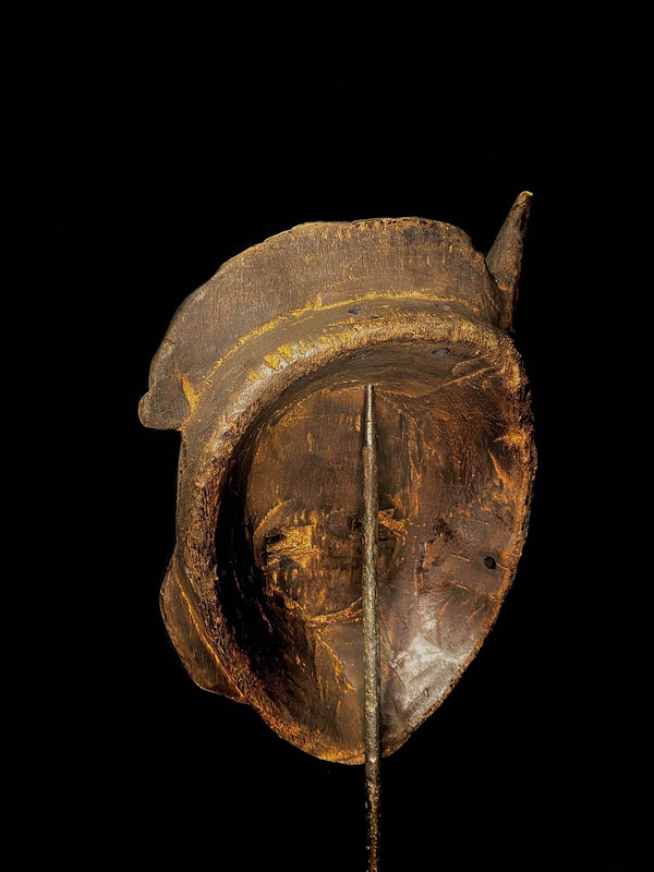 large image 10