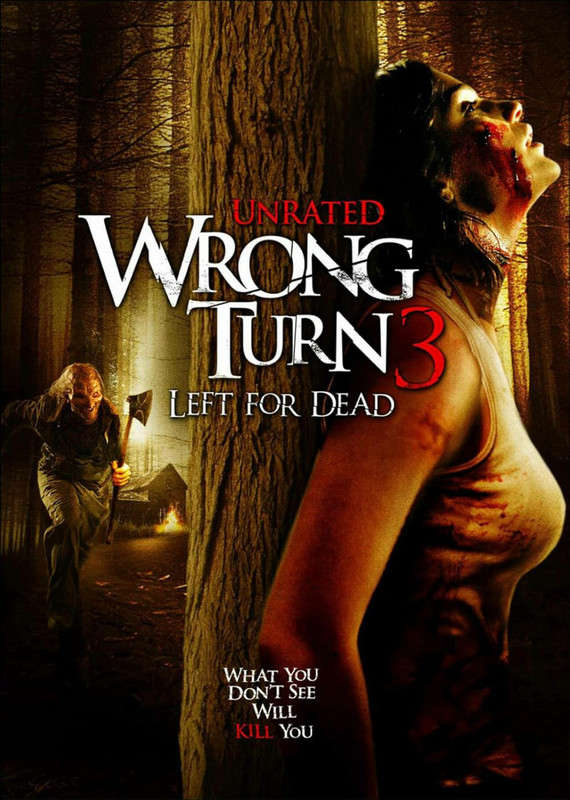 Wrong Turn 3: Left for Dead (2009) BluRay [English] Esub 1080p – 720p – 480p Download