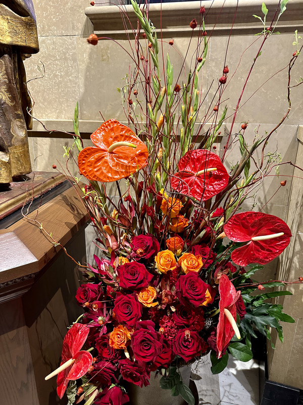 1E1BF258-724B-4A18-AAF1-3F1379345094