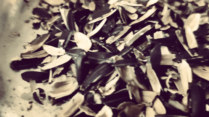 GIF-20250727-083819-906.gif