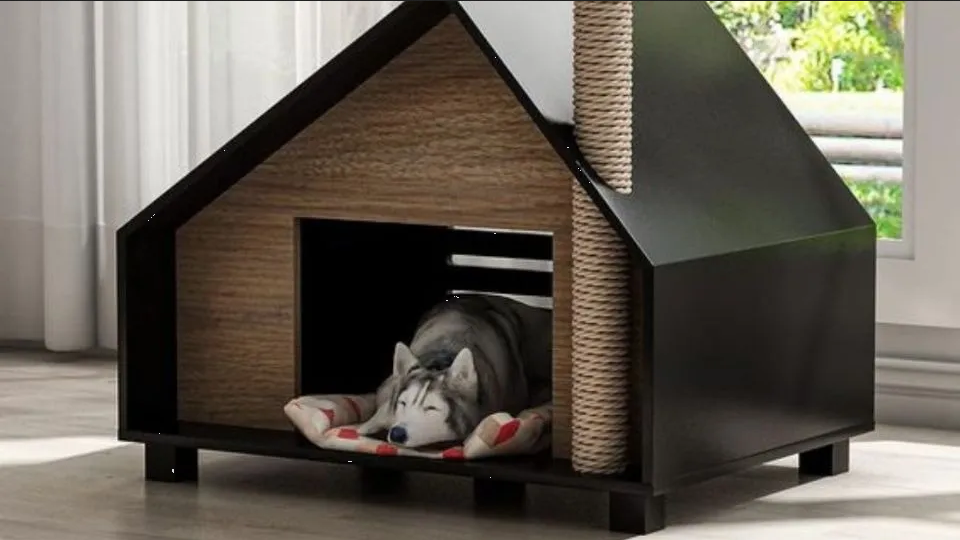 Sigue estos consejos para mantener caliente la casita de tu perro en invierno