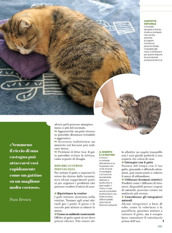 Ga Ma Ott-Nov 2024 (10)