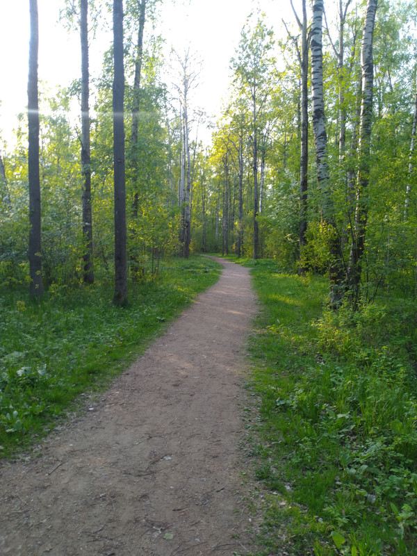 IMG-20230520-191155.jpg