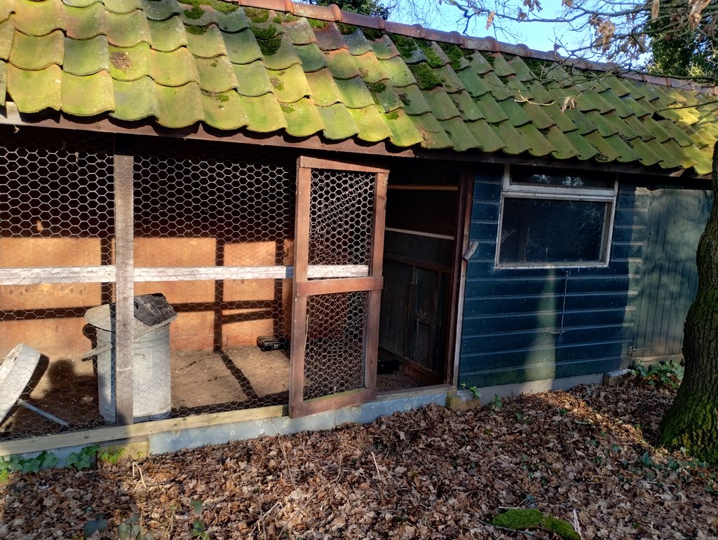 IMG_20250203_144547792_HDR