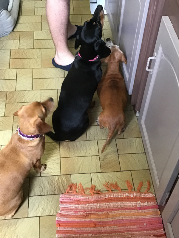 [Image: 46-C2-AB7-F-9-AD0-441-E-A317-285-B2846-DB4-F.jpg]