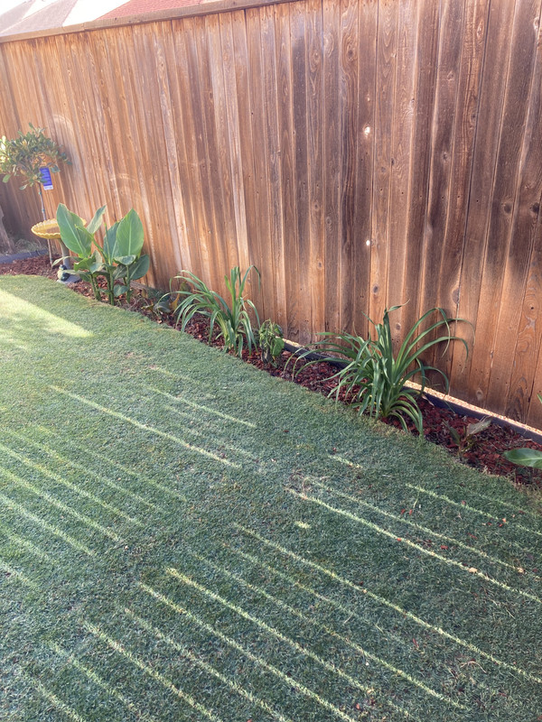 875589B9-EBEC-4DF8-BEE2-15E041ED556E