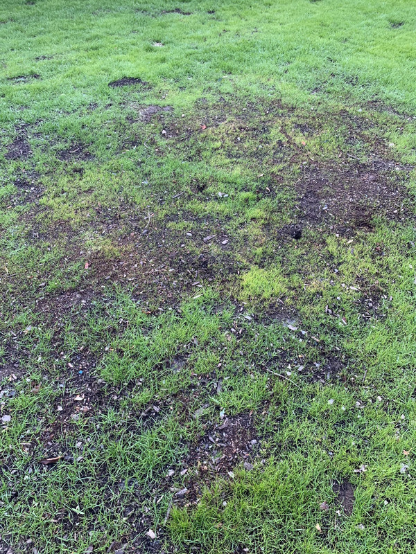 635C738B-E483-4453-9A7B-03781F9C9BB4