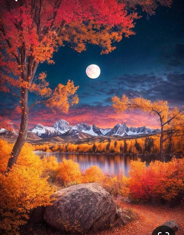 Screenshot_20240218_210845_Pinterest