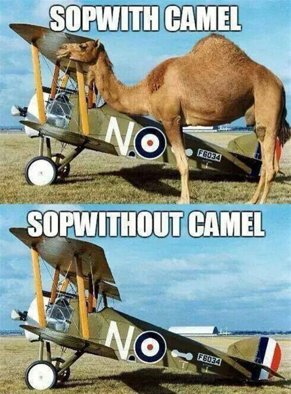 Sopwith-Camel (850 x 1148)