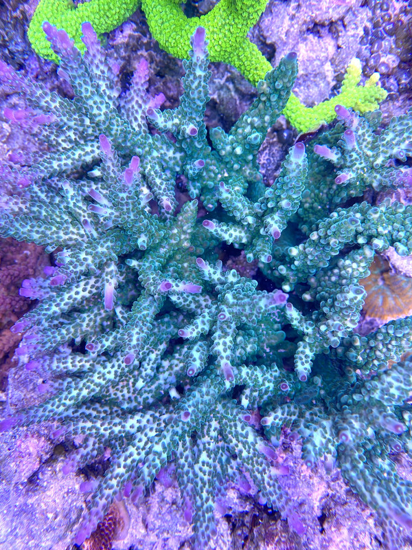 3C565785-FA20-4871-B741-59333CADFE49