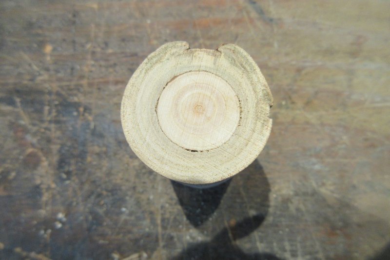 Elderberry and Resin Candle Bushcraft USA Forums