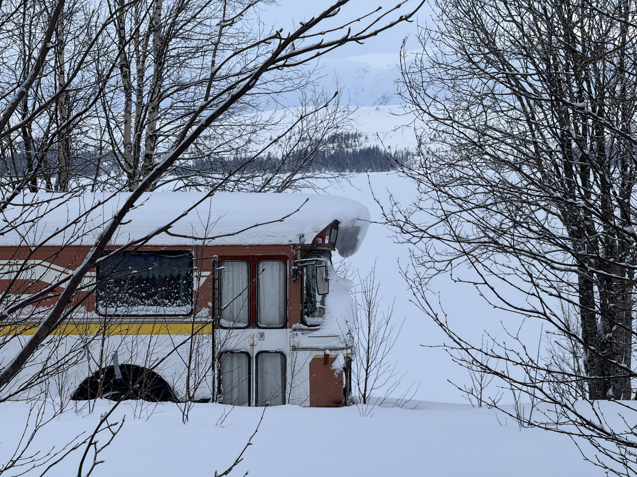 [Immagine: IMG-9218.jpg]