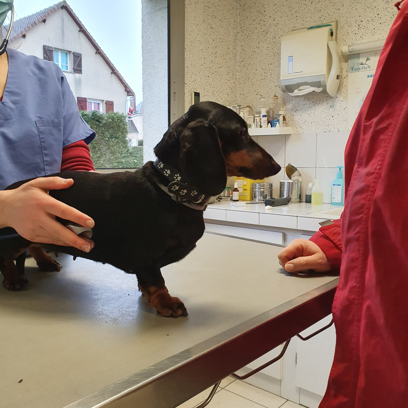 [Image: 20210121-150559.jpg]