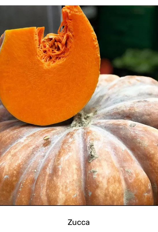 Zucca Italia - 1 pezzo 1.2 kg