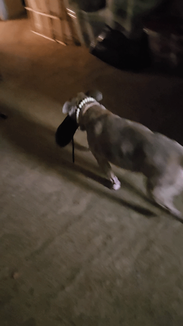20250925-151331-1.gif