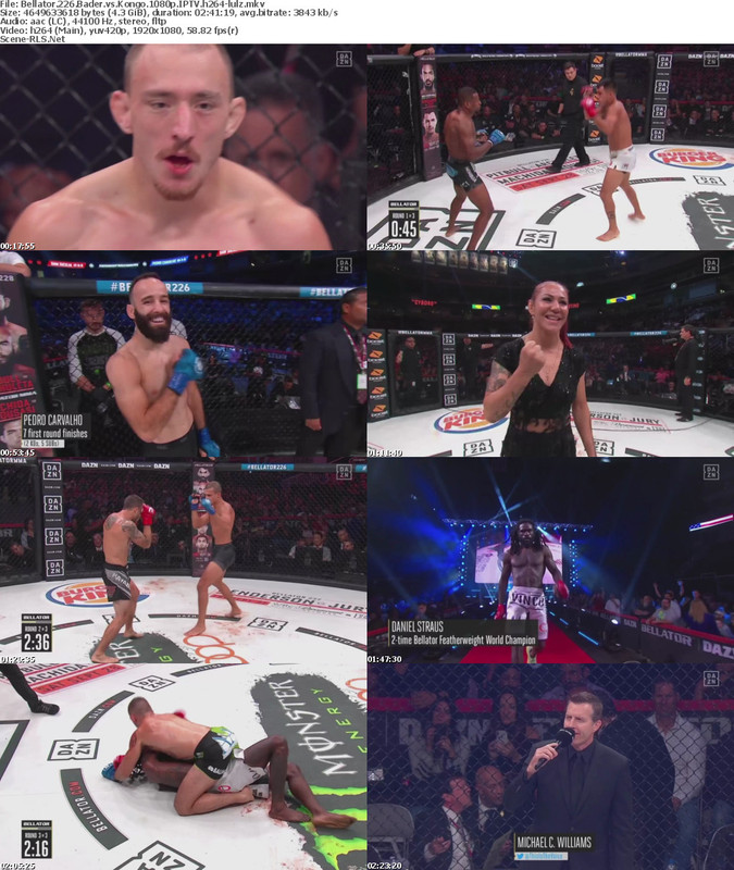 Bellator.226.Bader.vs.Kongo.1080p.IPTV.h264-lulz.mkv