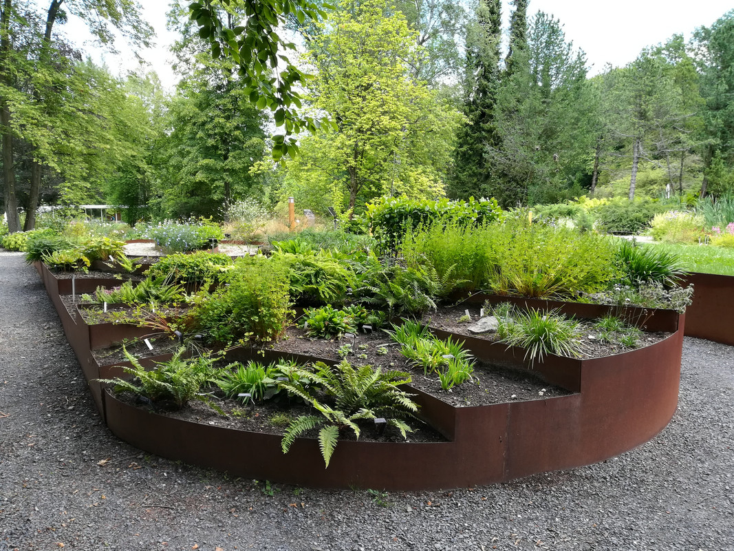 013 - IMG_20190714_141814