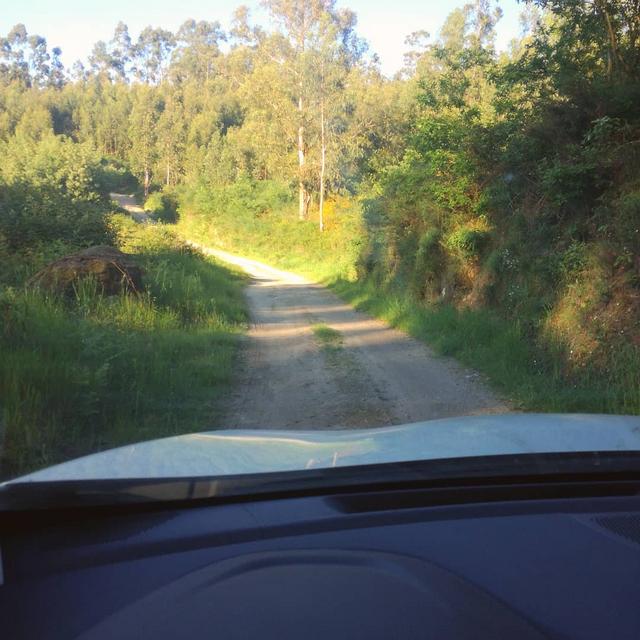 IMG-20190517-094737-287.jpg