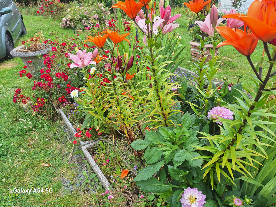 [Image: 20240702-134701.jpg]