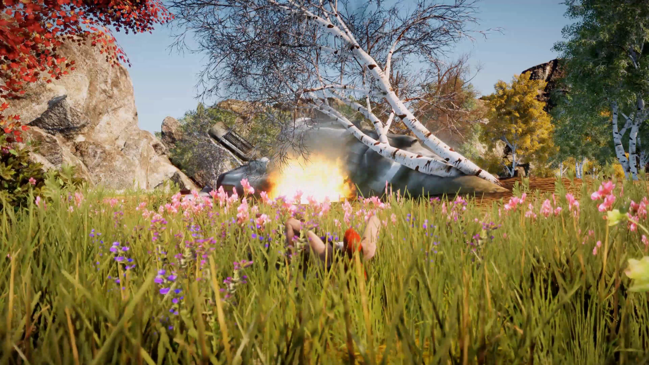 Animallica_2018-06-26_15-26-34