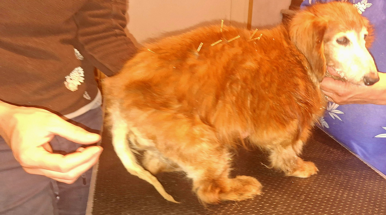 [Image: 20240831-092909.jpg]