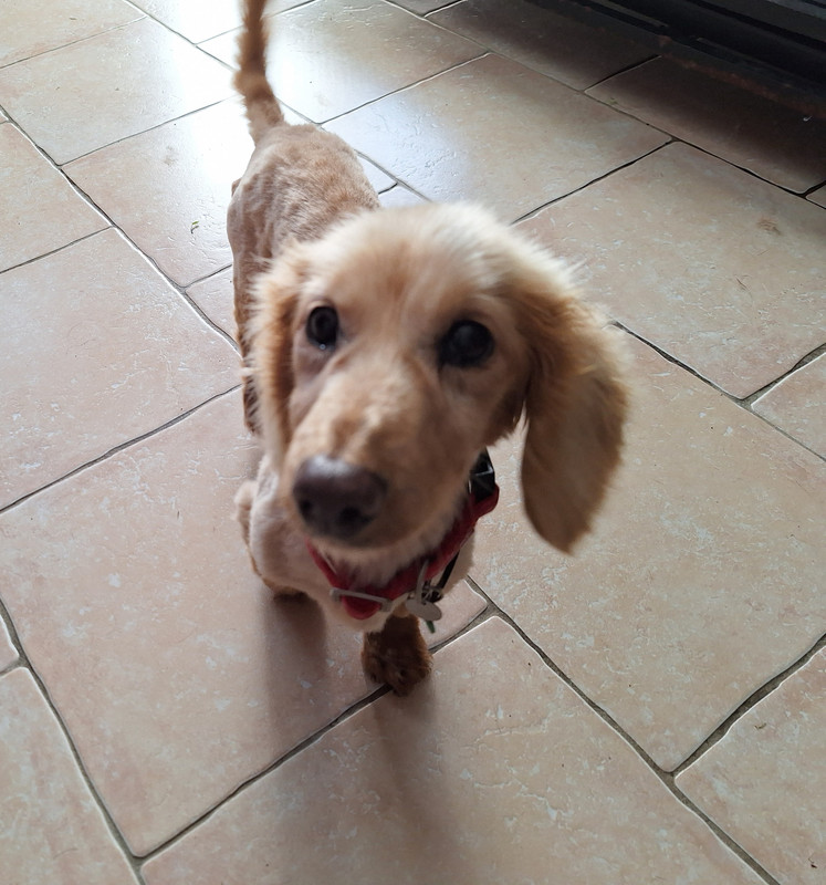 [Image: 20240314-094857.jpg]