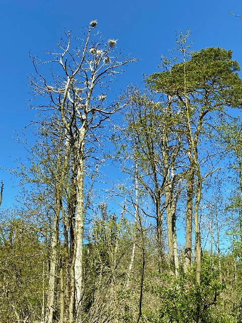 A05-B4-B45-0652-4-B77-8-DD8-CE6-F012-FB9