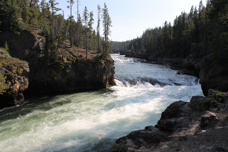 Día Dieciocho: Jackson-Grand Teton- Yellowstone - My West USA road trip: un viaje de película. (14)